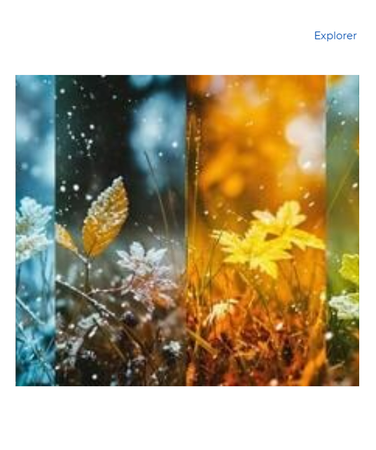 Produits-Saisonnier Tick Tock Collection